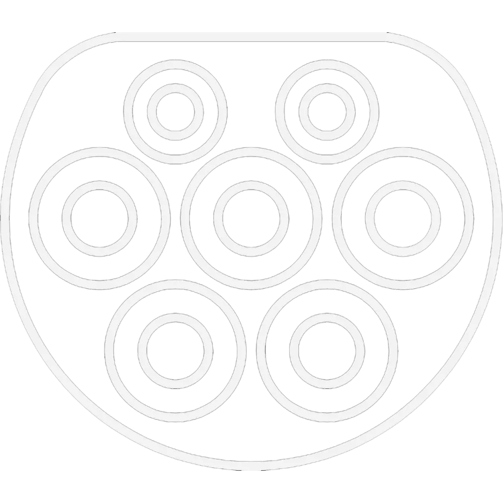 Type 2 icon